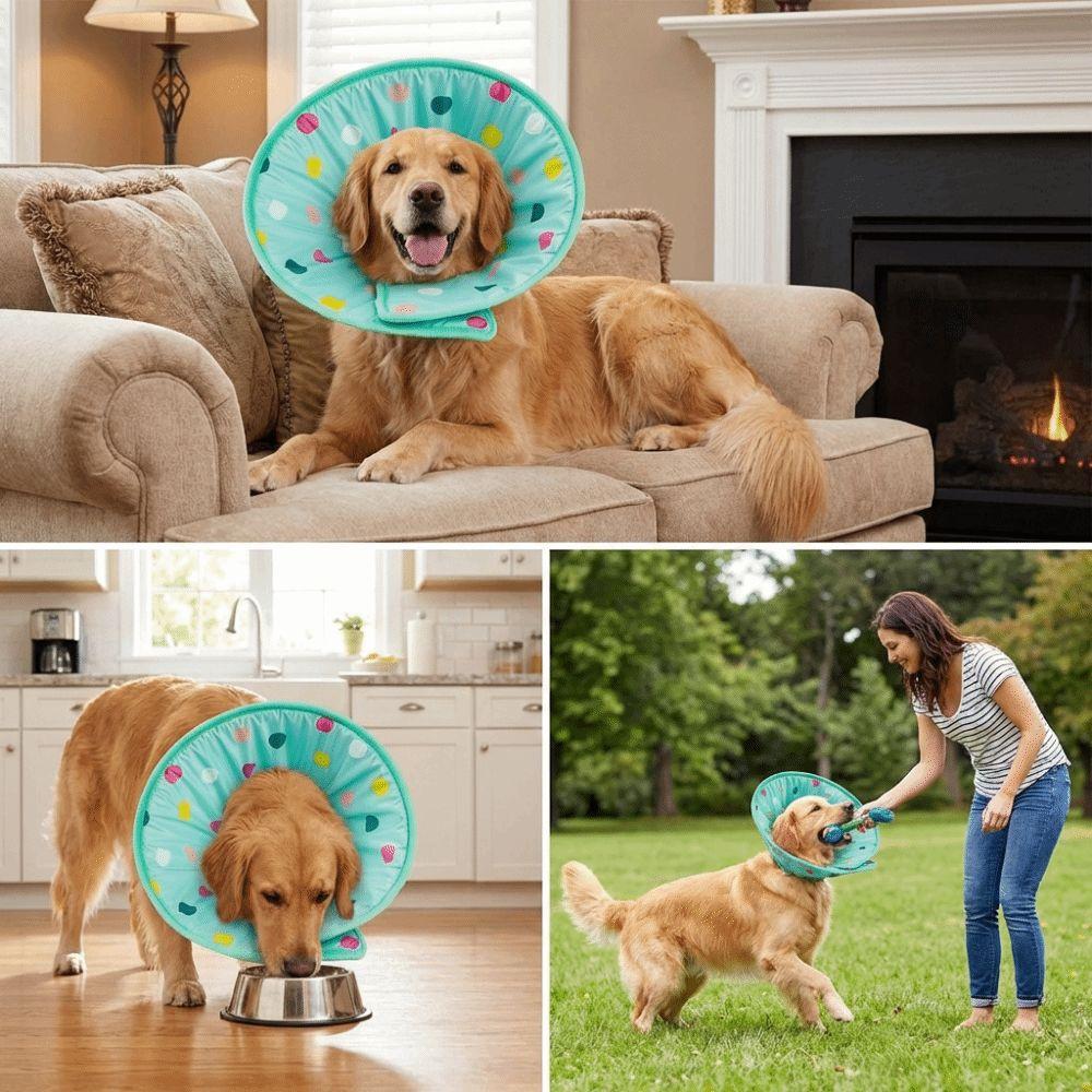 Comfortable Dog Recovery Collar Soft Cat Protective Collar Pet Cone Collar  Grooming
