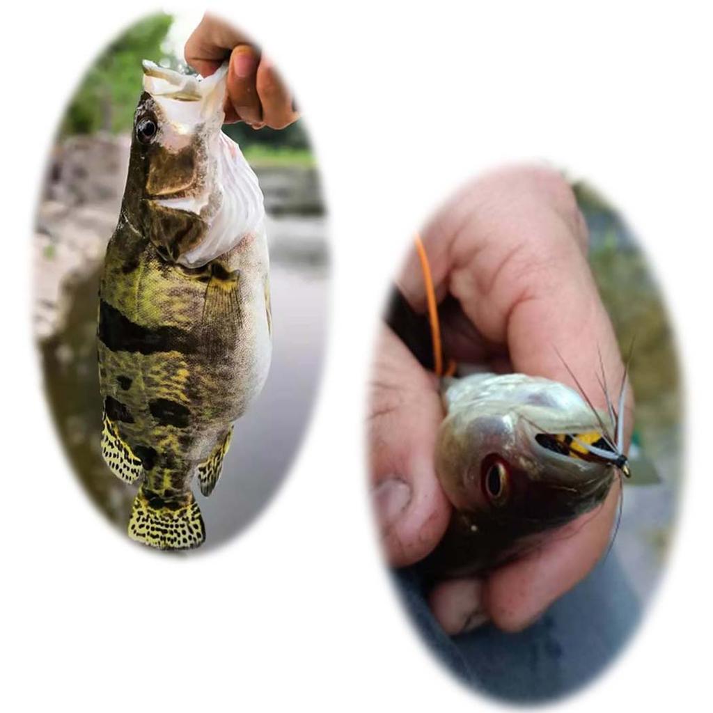 Artificial Tussock Red Tail Moth Bait & Bumble Bee Dry Fly Bait -Mixed Styles Artificial Fishing For Trout/Bass/Salmon/Perch/Carp Bait -6/10Pcs/Box