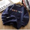 Boys Stylish Letter Print Crewneck Sweatshirt Long Sleeve Casual Top For Spring Autumn Kids Fashion Pullover