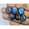 14X19MM Natural Labradorite Blue Fire Oval Cabochon Loose Gemstone 06Pcs Lot C-1074