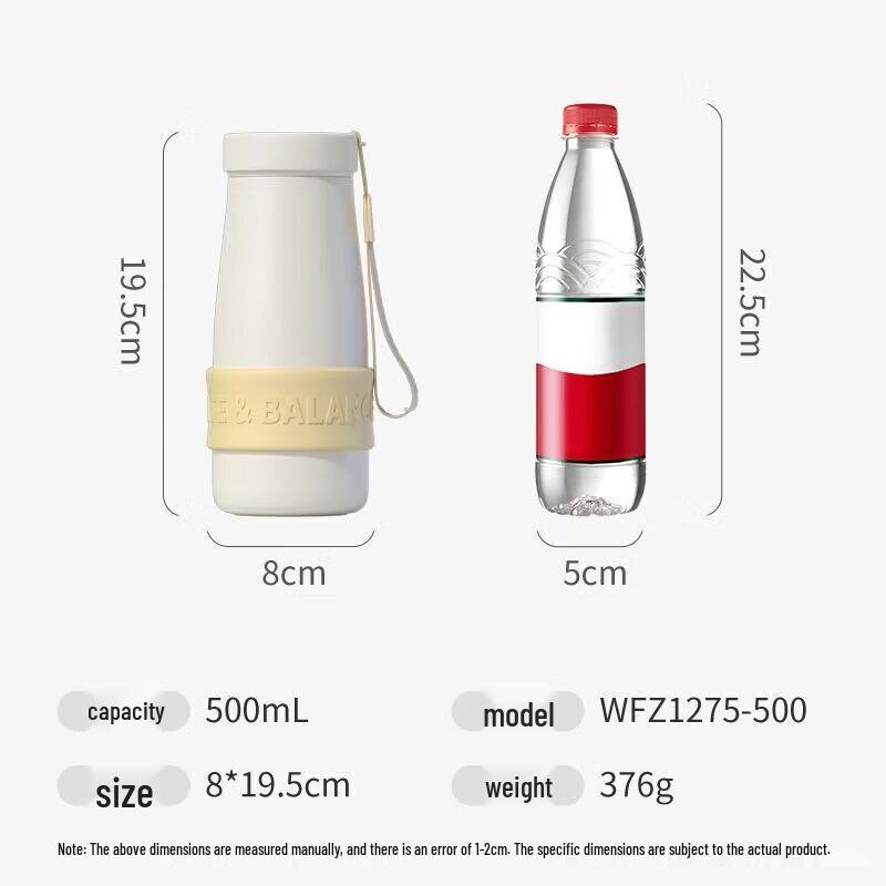 FUGUANG 316L Stainless Steel Tea Infuser Insulated Mug
