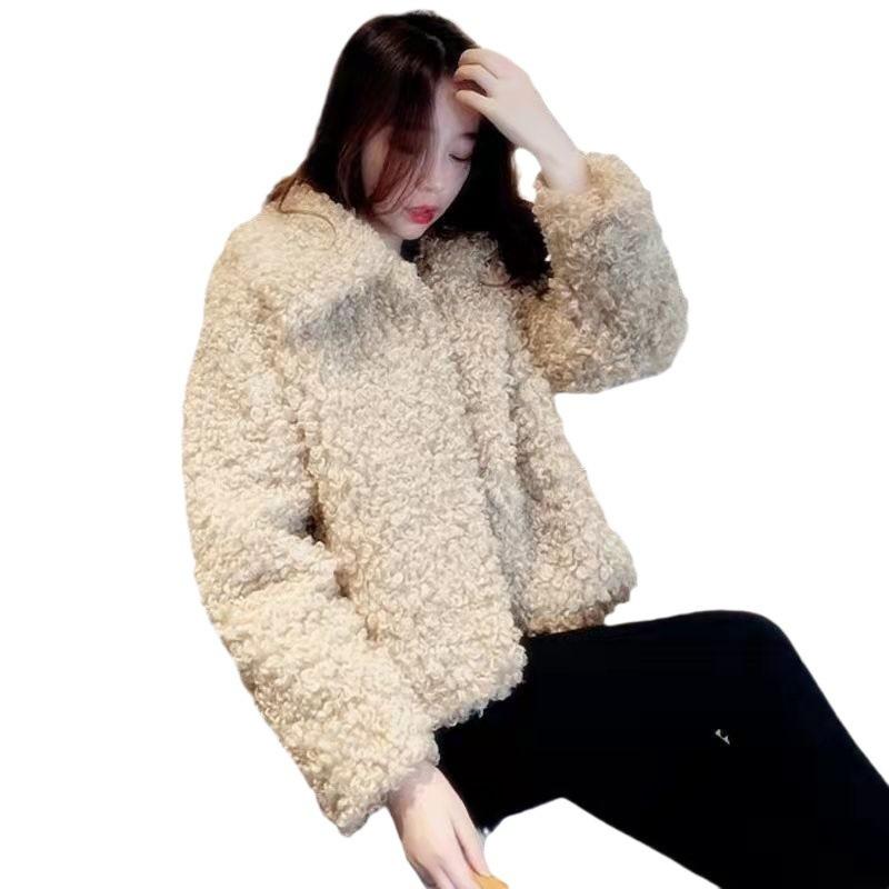 Lamb wool imitation fur jacket autumn and winter fashion warm short wool sweater casual socialite small