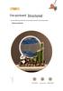 Bamboo Panda Decorative Ornament for Living Room, Office, or Entryway