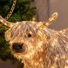 LED Lichtgevend Hooglander Ornament Gloeiend Hooglandvee Beeld Binnen Buiten Tuin Gazon Boerderij Veranda Kerstdecoratie