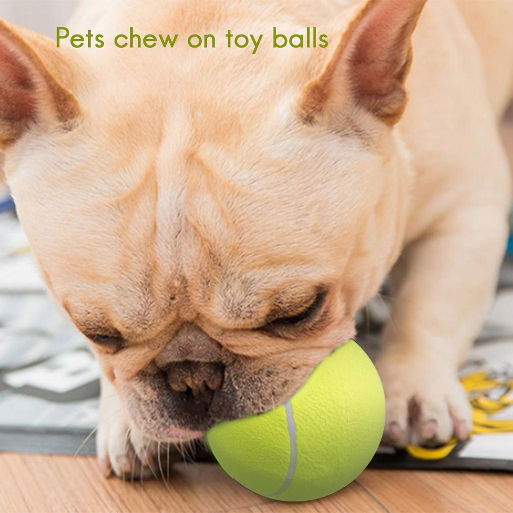 M-Modern-Pet Bite 24CM Giant Tennis Ball For Dogs Chew Inflatable Tennis Ball Signature Pet Ball Supplies