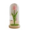 Simulation Tulip Immortal Flower Mother's Day Teachers' Day Gift Glass Cover with Light Valentine's Day Birthday Gift
