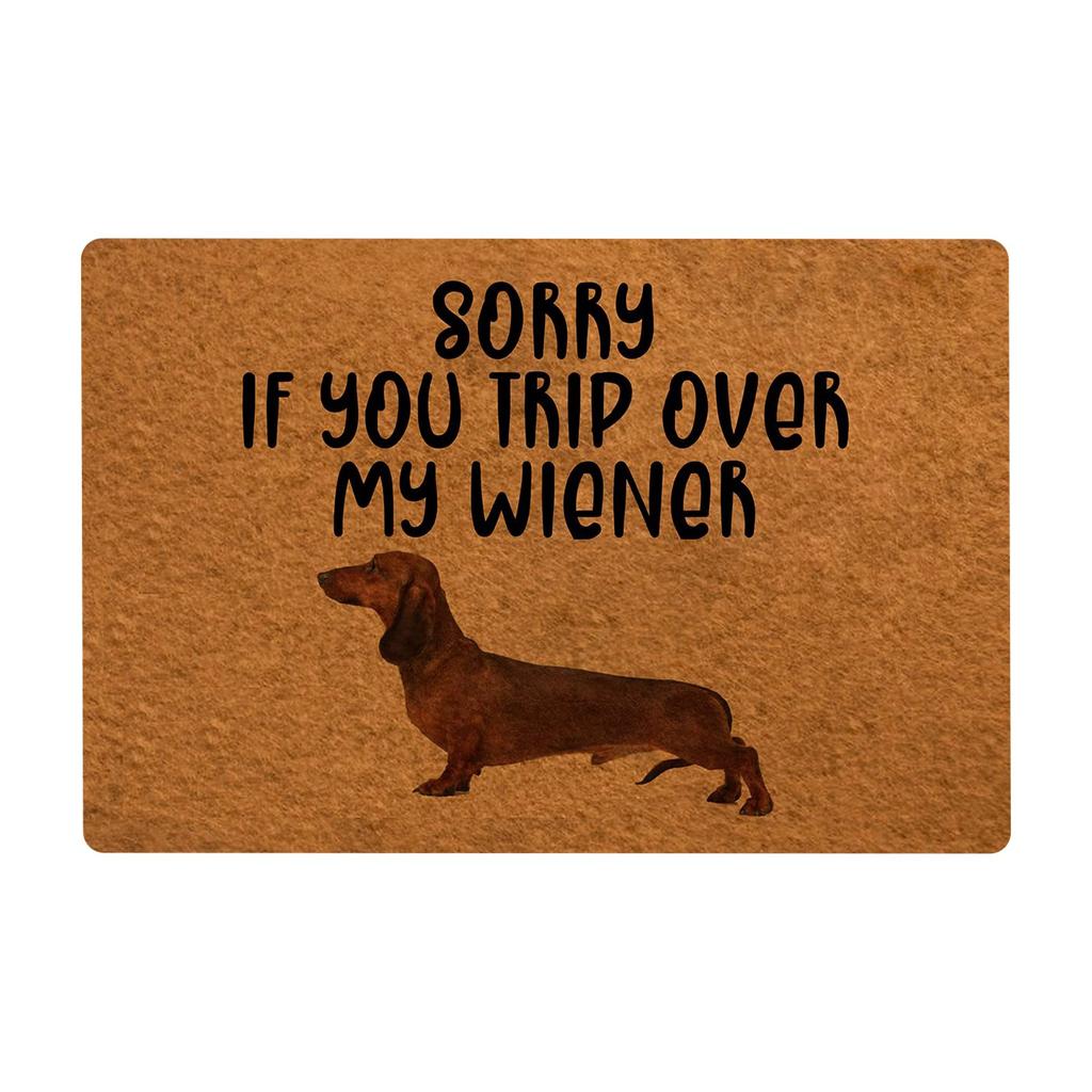 Non- Door Mat, Indoor And Outdoor Carpet, Home Welcome Mat