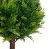 2pcs Artificial Cypress Topiary Tree Evergreen Shrubs Bushes Realistic Faux Cypress Plant for Indoor Outdoor Front Porch Garden