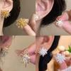 Zircon Metal Fireworks Earrings Korean Niche Cold Wind Earrings Temperament Versatile Earrings