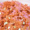 10MM Iridescent Five-Petal Flower Sequins for Nail Art, Glitter, Dance Costumes, and Crystal Slime Filler.