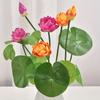Ceramic Basin Lotus Small Bonsai Vivid Artificial Lotus Flower  Garden Decoration