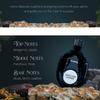 Masculin Leather Imported Long Lasting 100ml Men Perfume, Citrusy, Smoky & Leather, Soothing Fragrance