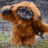 Handmade Baby Ludo From Labyrinths Toy Funny Present Plush Doll