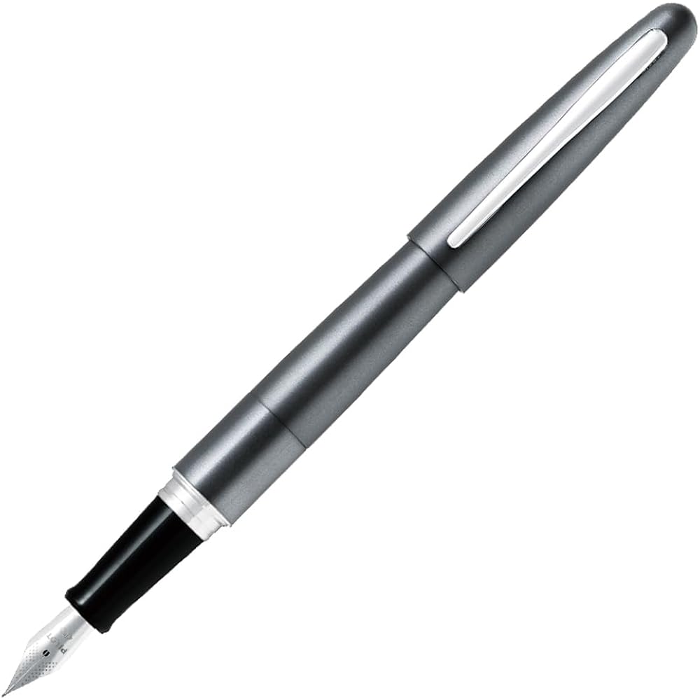 PILOT FCO3SRMGYF Cocoon Fine Line Metallic Gray Fountain Pen