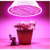 LED E27 Grow Light Full Spectrum Phytolamp Vnitřní Semena květin Hydroponie Žárovka pro pěstování ve skleníku Grow Box