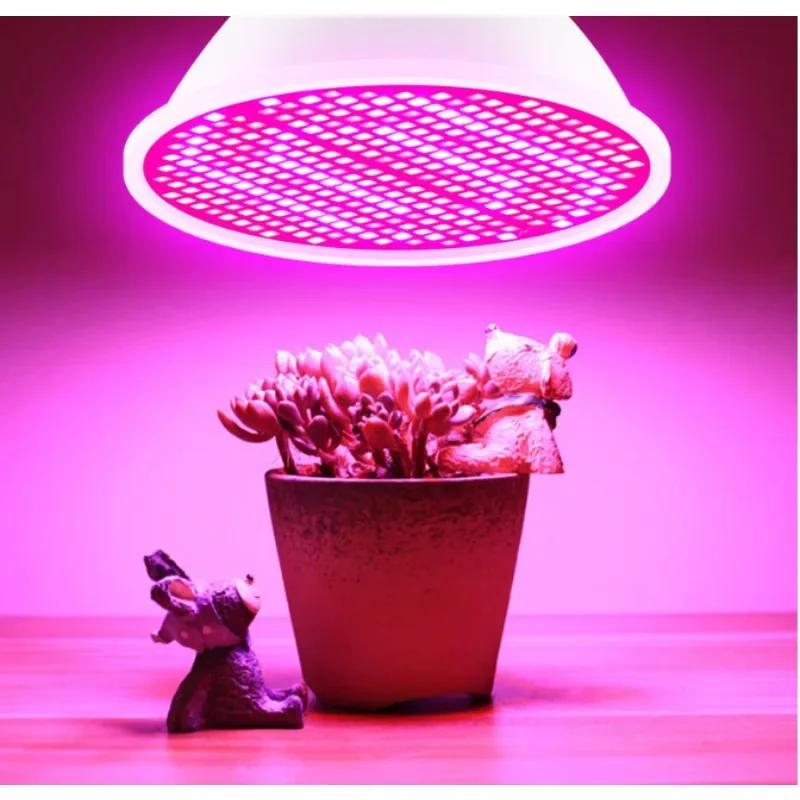 LED E27 Grow Light Full Spectrum Phytolamp Vnitřní Semena květin Hydroponie Žárovka pro pěstování ve skleníku Grow Box