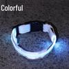 Rechargeable Luminous Reflective Dog Collar for Nighttime Walks