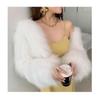 Winter New Imitation Raccoon Fur Coat Female Fox Hair Young Short Small Internet Celebrity Woven Imitation Fur Coat