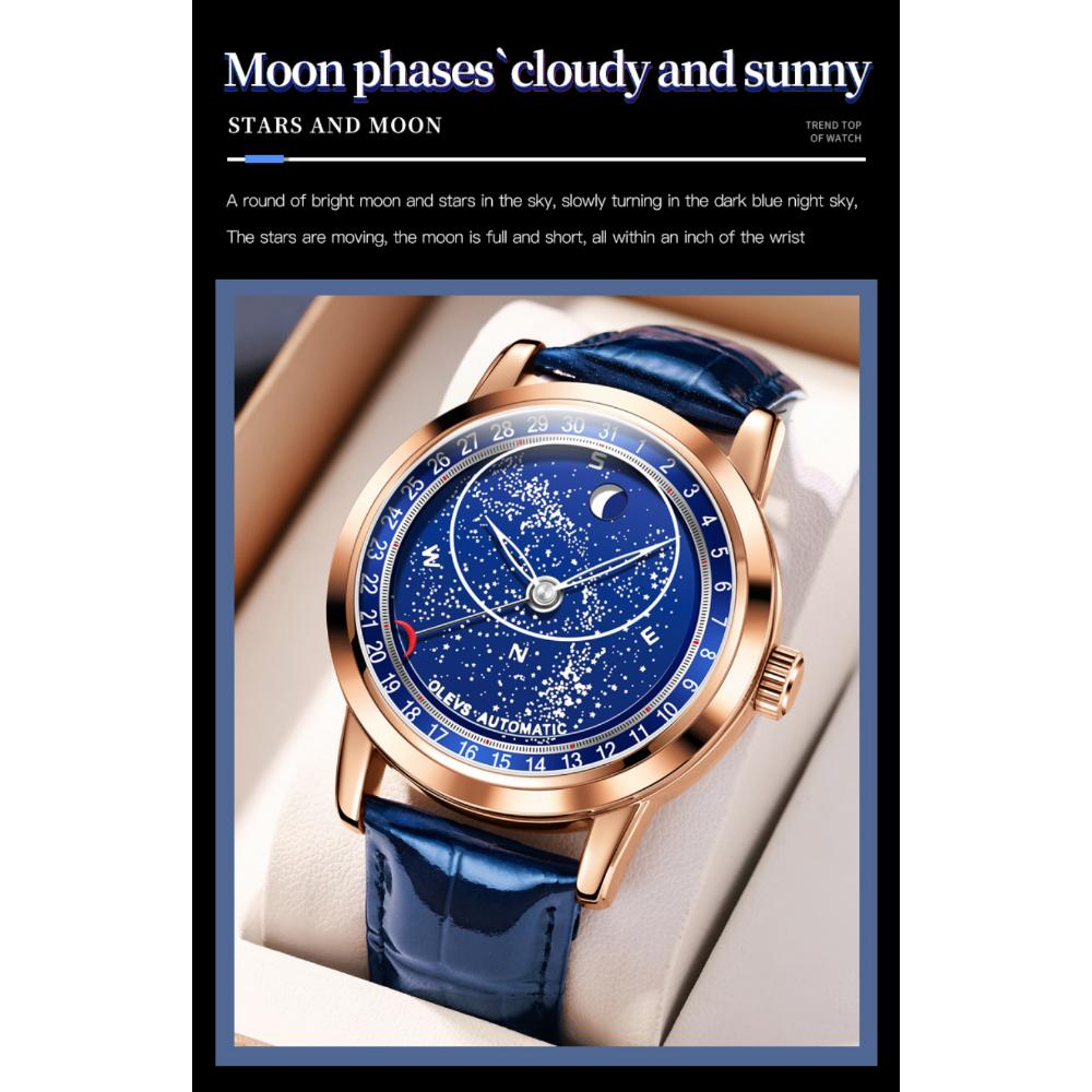 OLEVS New Business and Leisure Watch Automatic Mechanical Starry Sky Second Dial Luminous Men's Watch