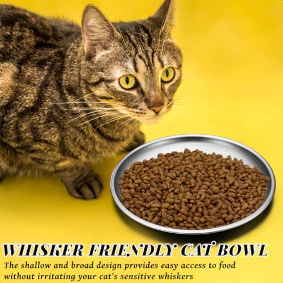 12 Pieces Stainl Steel Whisker Friendly Cat Bowl Shallow Cat Food Dish 6.7 Inch Wet Feeding Bowls Flat Pet Dish Small Pet Plate