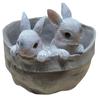 Boliginnredning – Dekorative blomsterpotter