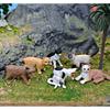 Mini Cat Figurine Collection Pvc Static Models With Six Or Twelve Cats For Decoration And Gift Ideas