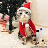 Cute Pet Christmas Outfits for Cats and Dogs Great for Holiday Decoration