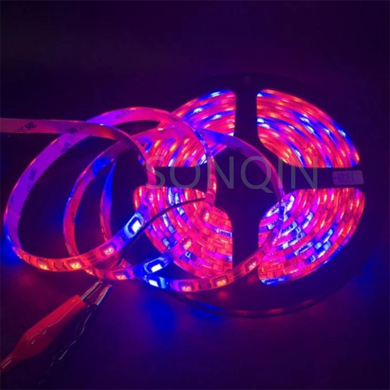 5M 12V LED Grow Light Full Spectrum Grow Light Strip 5050 LED Phyto Lamps For Indoor Flower Seed Hydroponic Plant Growing Lamp