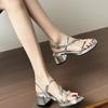 Fashion Summer Simple Fashion Open Toe Sandals 2025 New Ladies Wedding Party Elegant Sandals Casual Mid Heels Retro Style Women Sandals
