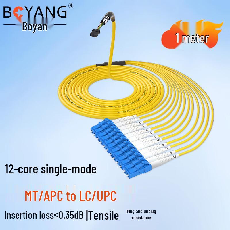

BOYANG Single-Mode 12-Core Branch Fiber Optic Patch Cord