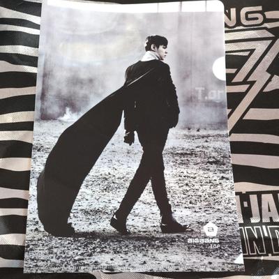 [USED] BIGBANG T.O.P Clear File
