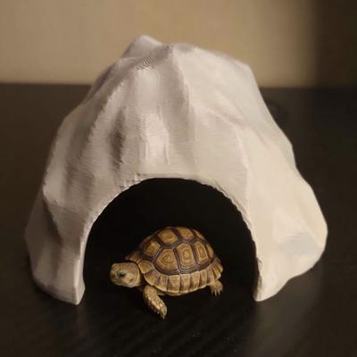 Reptiler – Terrarium