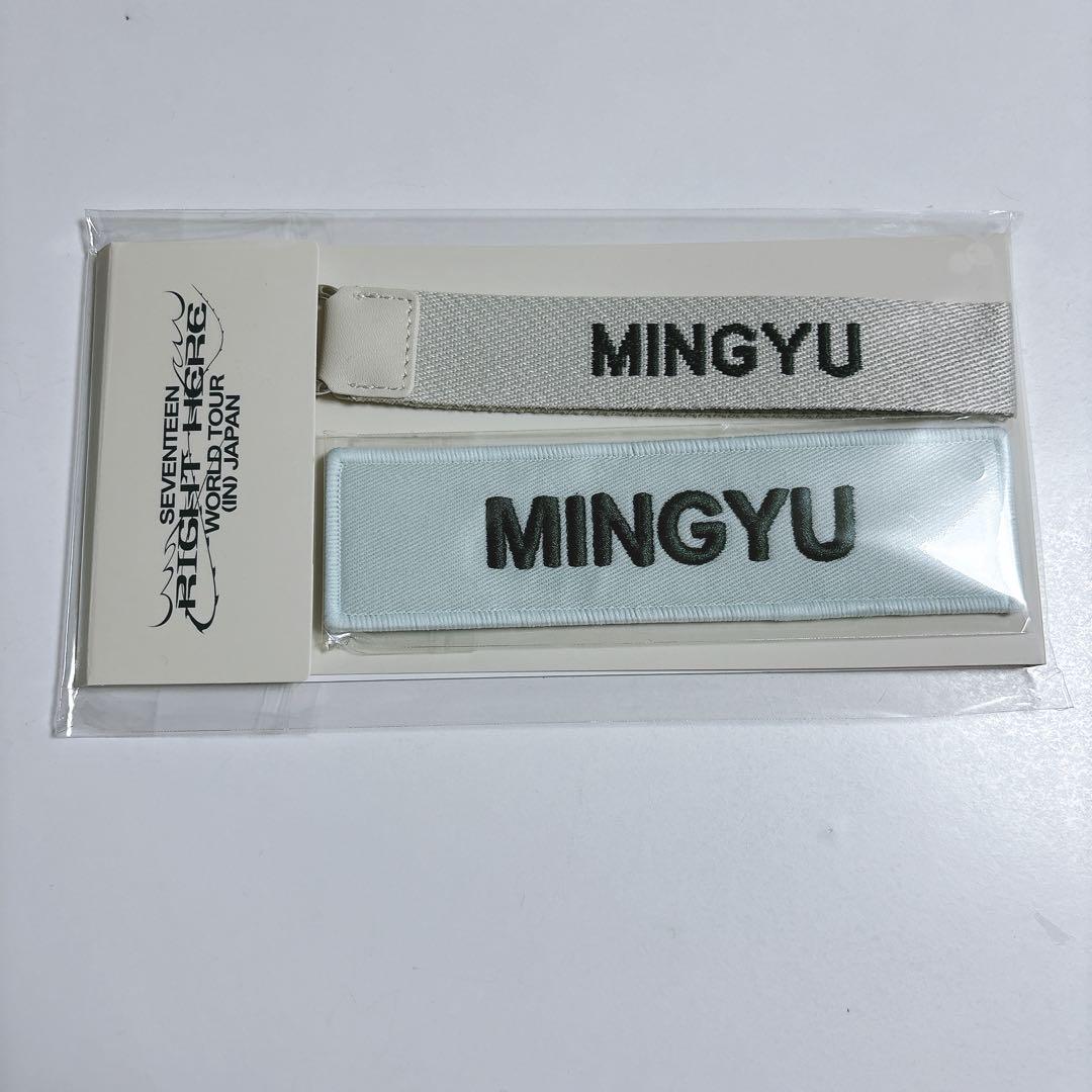 

[USED] SEVENTEEN MINGYU RIGHT HERE Patch & Strap