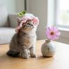 Warm Cat Knitted Hat Crochet Cat Headwear Comfortable Cat Tied-up Hat  Party Costume