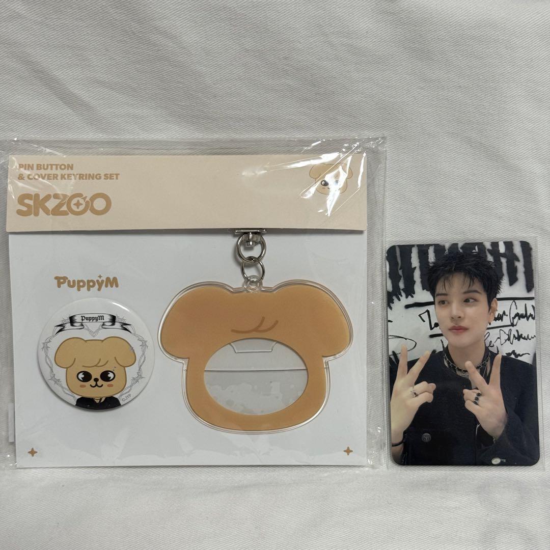 

[USED] StrayKids Seungmin Badge Keyring Trading Card Pop-up