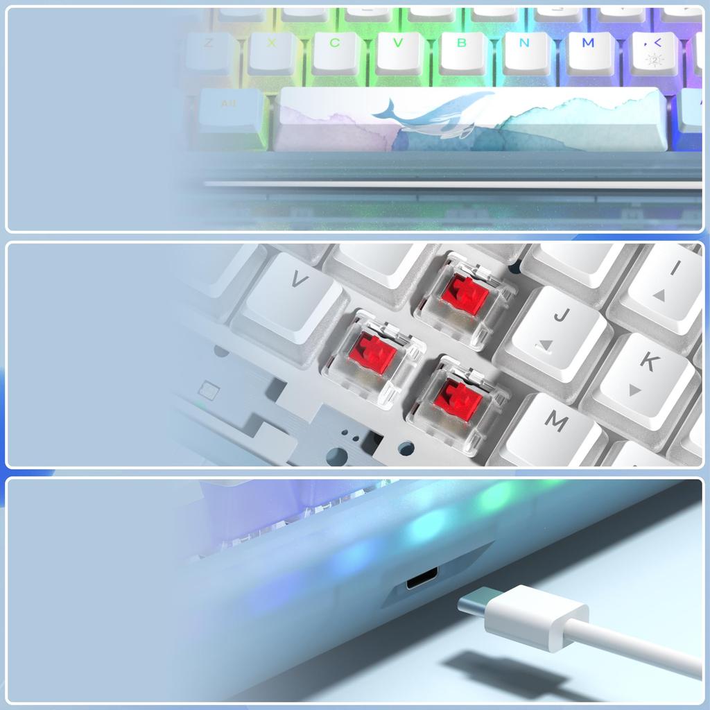 Womier WK61 Gaming Keyboard, 61-Key Mechanical Keyboard with Red Switches, Hot-Swappable, 60% Mechanical Keyboard with RGB LED Backlighting, 24