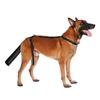 Adjusting Pet Tail Cover Breathable Tail Protectors Prevent Injuries And Dog Tail Safe For Recovery Lickproof Tail Guard