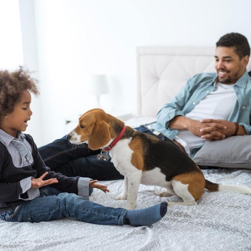 2pcs Loud Multifaceted Collar Bells Cats Dog Collar Bells Rustics Pet Bells for Enhancing Safety and Fashion