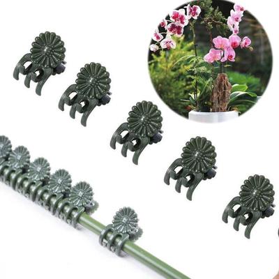 50/100pcs Plant Clips Vine Clamp Plant Support Grafting Strawberry Tomato Butterfly Orchid Flowers Clip Garden Accessories Tools