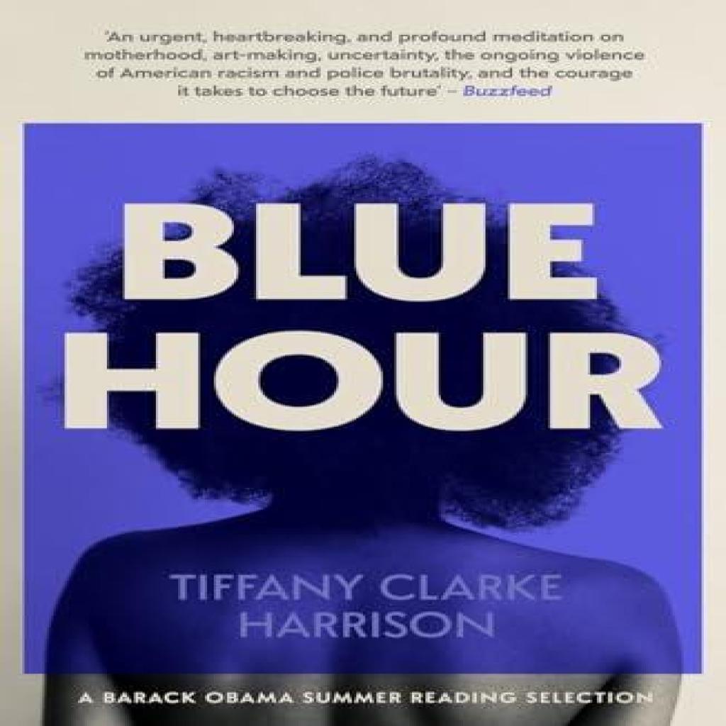 Blue Hour by Tiffany Clarke Harrison Paperback Book 9780857308771