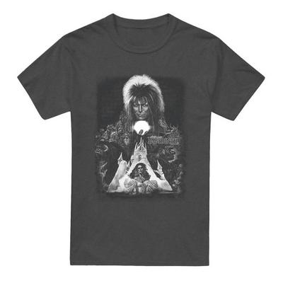 Labyrinth Unisex Erwachsenen Schloss T-Shirt