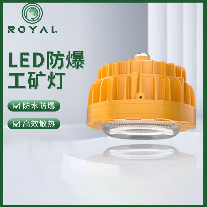 Rongya LED Dustproof/Waterproof Explosion-Proof Ceiling Light