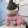 Gestrickter Haustierpullover Kleine Hunde Katzen Winter Warme Kleidung XS Bis XL Größen Rosa Schwarz