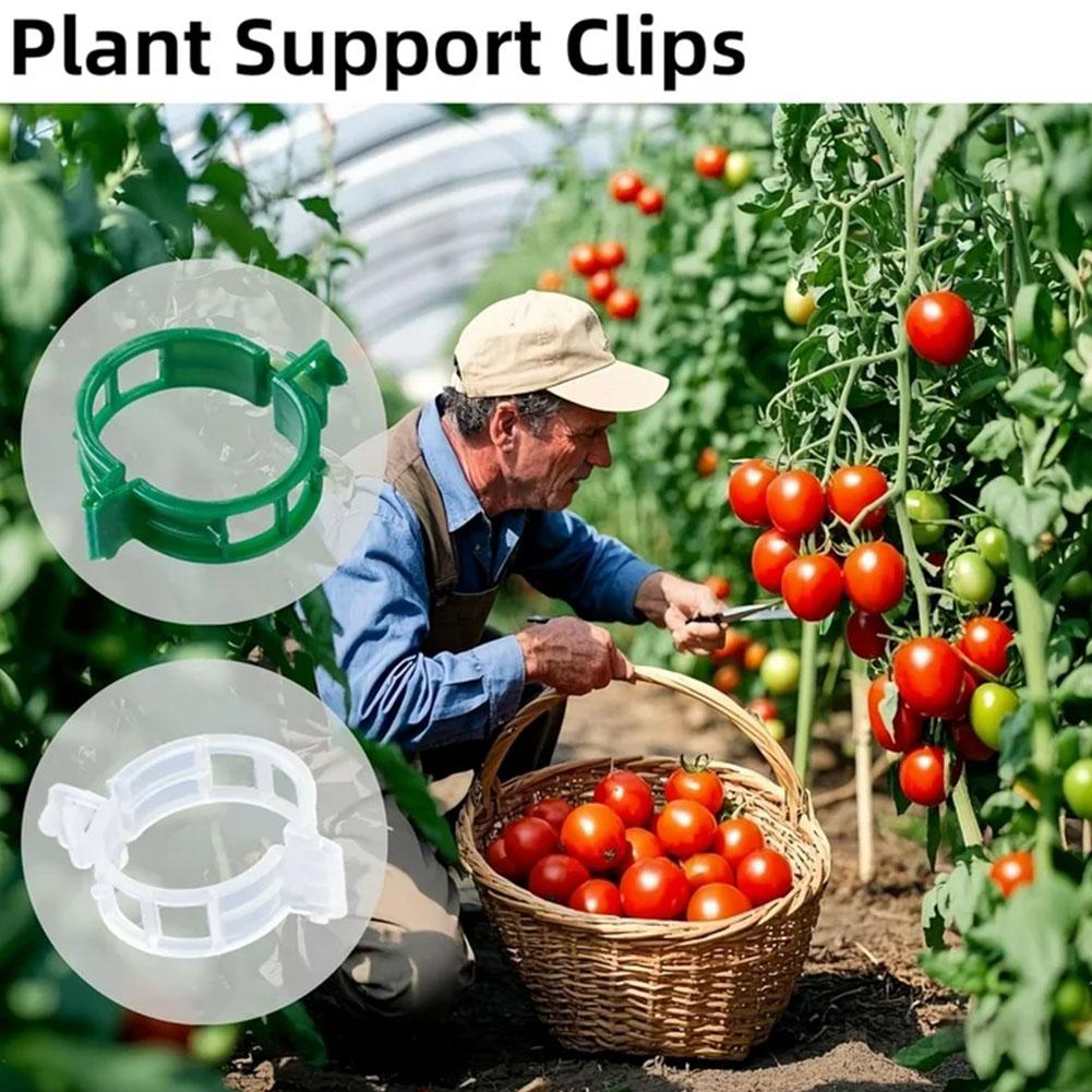 50PCS Heavy-Duty Plant Support Clips for Garden Vines | Adjustable Trellis Tomato Clips for Cucumbers Grapes & Melons