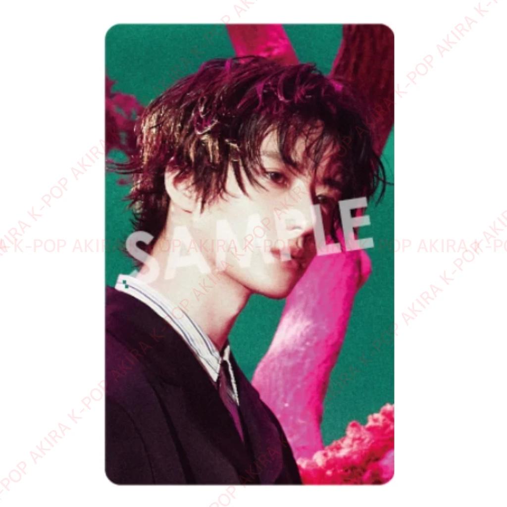 PRE-ORDER TXT 7TH YEAR: A Moment of Stillness In the Thorns POB LD PHOTO CARD OFFICIAL