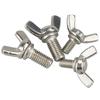 Haistike HKQS-48 304 Stainless Steel Wing Bolt