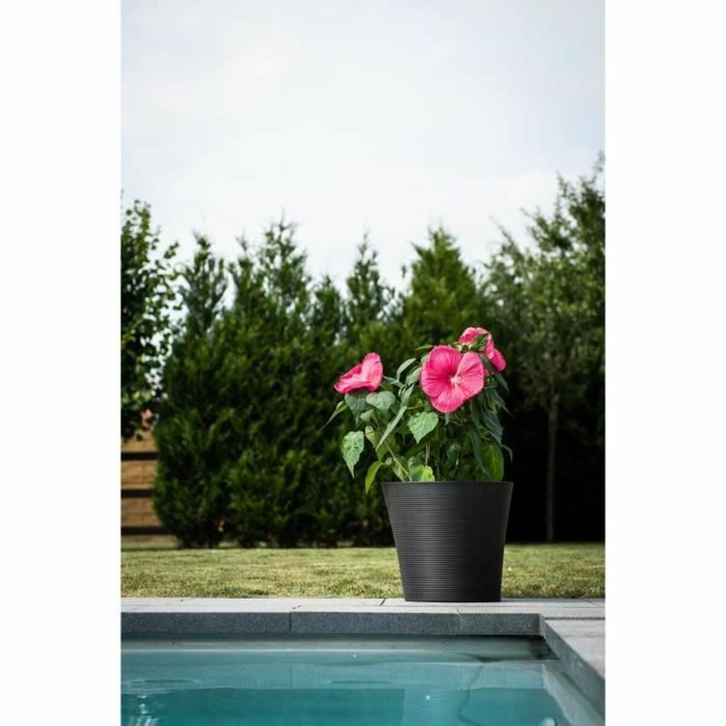 Plant Pot Garden ID Black 40 X 34 Cm