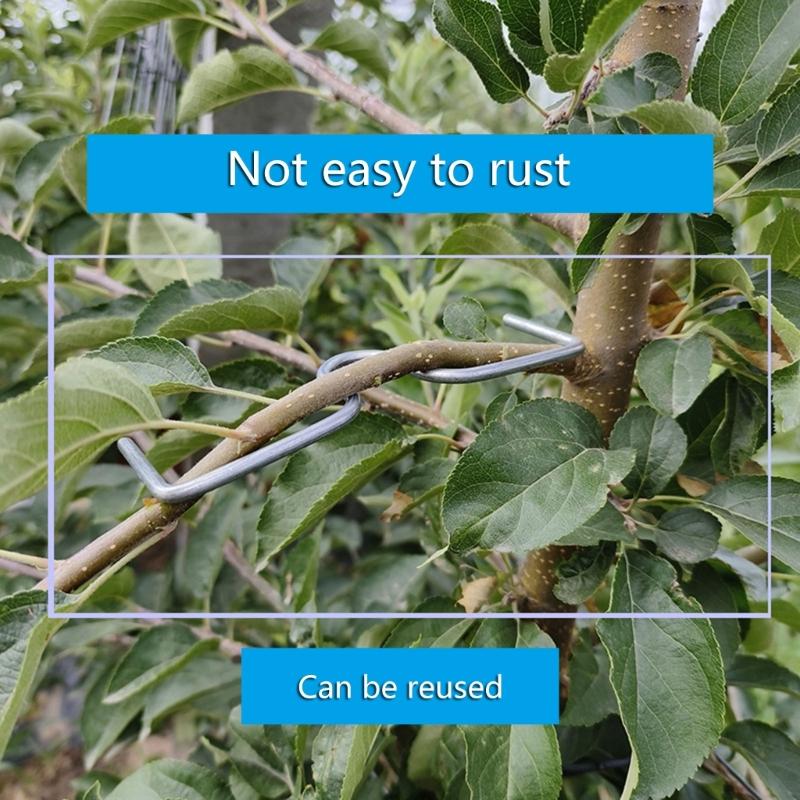 Steel Fruit Tree Shaping and Bending Tools 15 Pack 3 Sizes Branch Positioners Puller For Optimized Sunlight Exposure