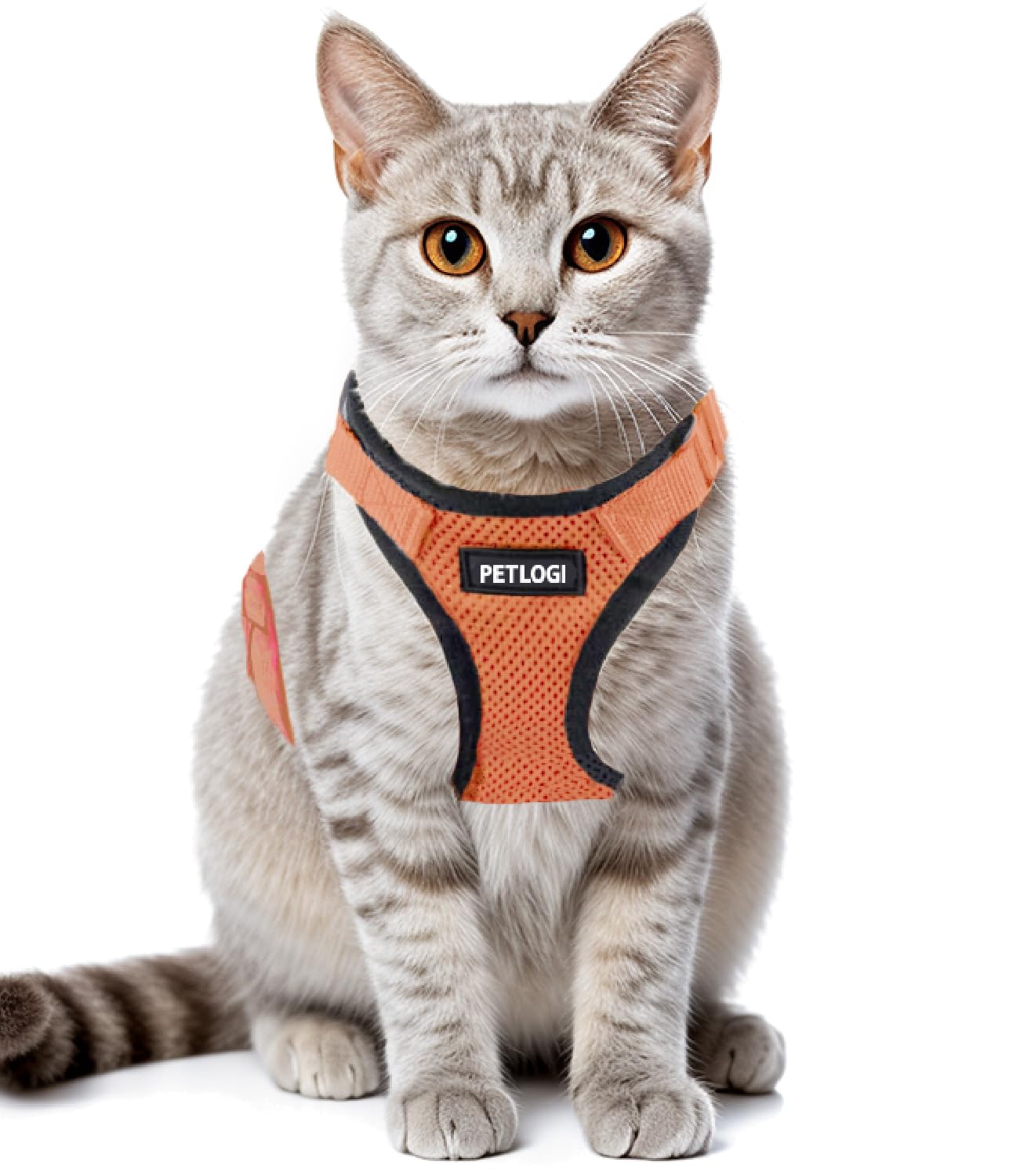 

Cat for Walks and Soft Chest Adjustable Breathable for and Small Dogs Harness, Non-Slip Lead, Outings, Vest, Pad, Lightweight, Size, Mesh, Cats, помаранчевий