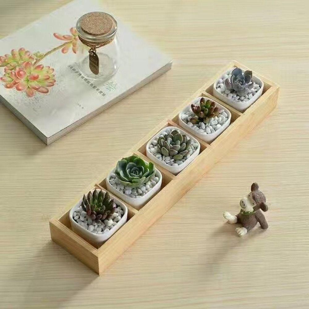 Multifunctional Succulent Flowerpot Tray Multi-grids Desktop Sundries Organizer Storage Box